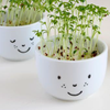 Family Fun | Plant Cups with a Face