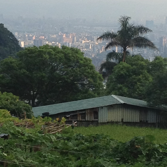 Oh the things you find ...