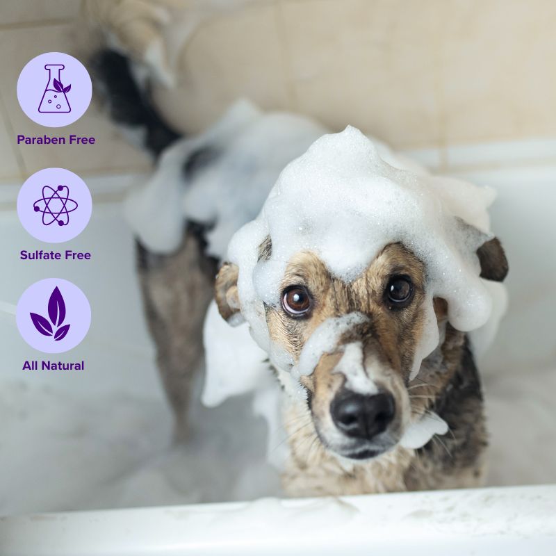 SUDS | Moisturizing Shampoo Bar for Dogs Lavender + Geranium