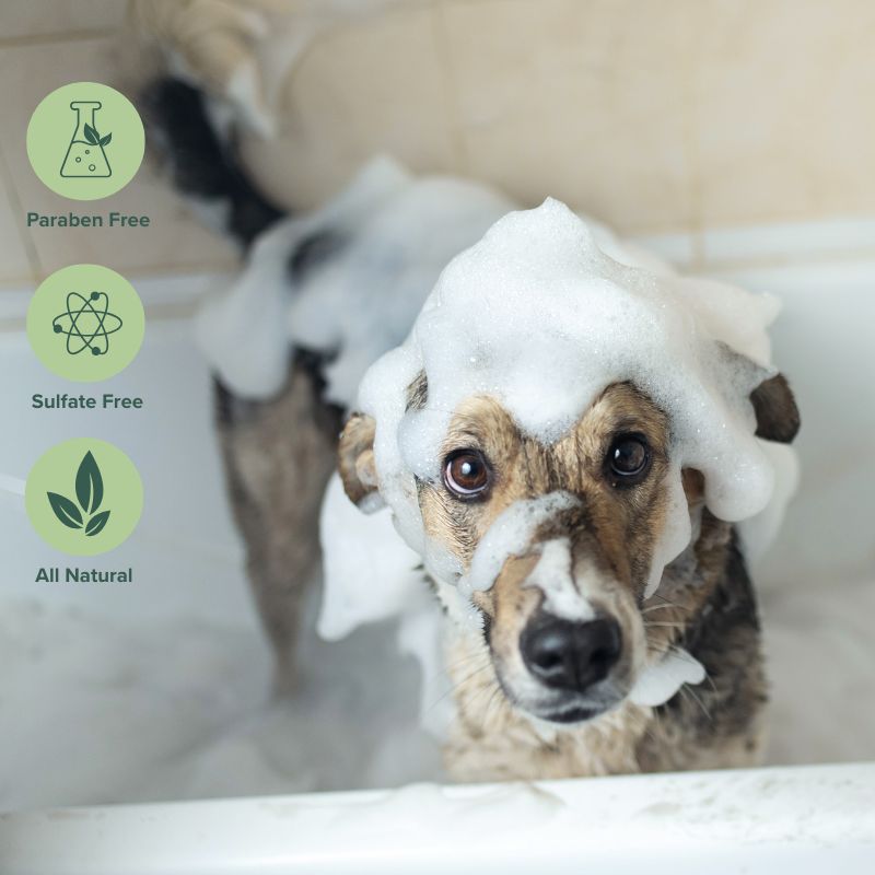 SUDS | Soothing Shampoo Bar for Dogs Rosemary + Mint + Cedar