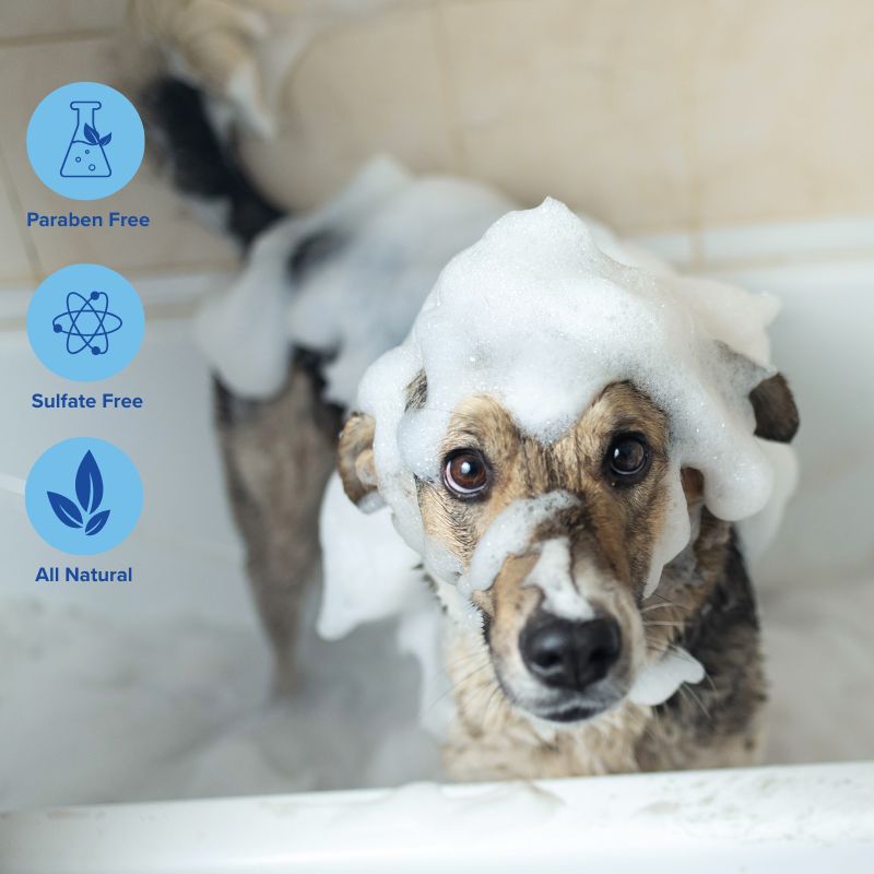 SUDS | Soothing Shampoo Bar for Dogs Unscented